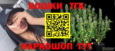 Альфа ПВП Канаш