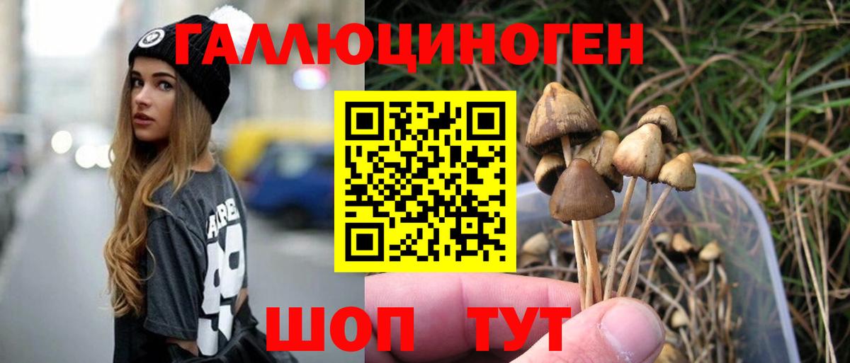 Псилоцибиновые грибы ЛСД  Галлюциногенные грибы мицелий  Вход с VPN  Керчь 